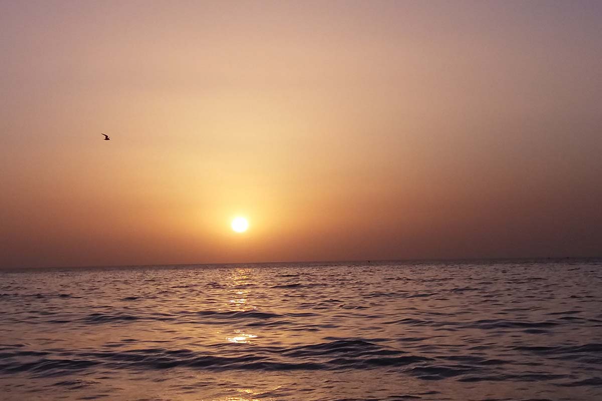 اهمیت امر به معروف و نهی از منکر در کلام امیر المومنین